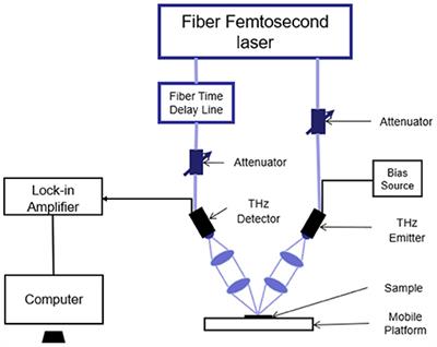 Non-destructive Detection of Insect <mark class="highlighted">Foreign Bodies</mark> in Finishing Tea Product Based on Terahertz Spectrum and Image